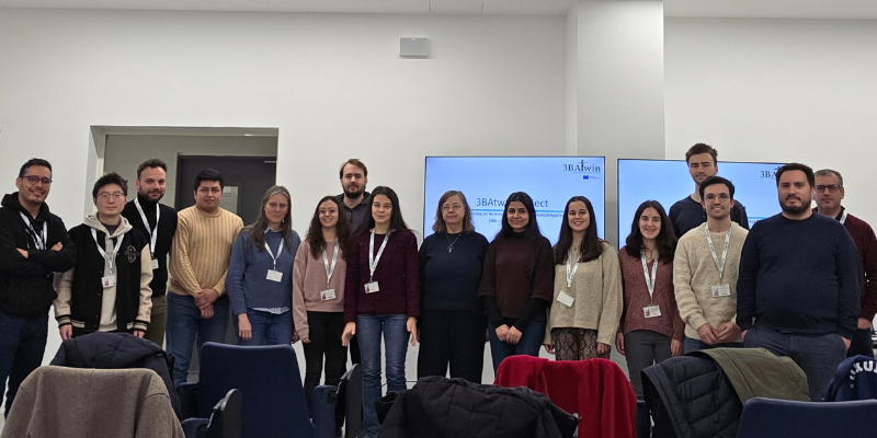 Researchers at Workshop on Antenna Systems for Biomedical Applications